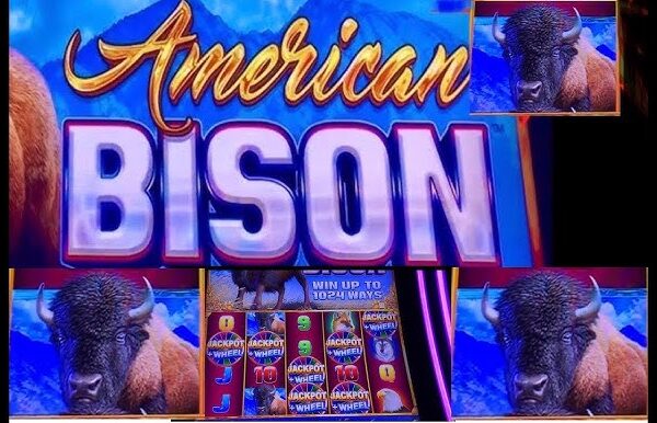 American Bison Slot
