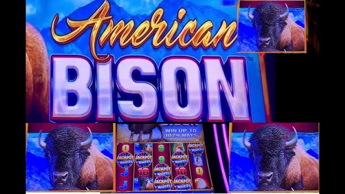 American Bison Slot